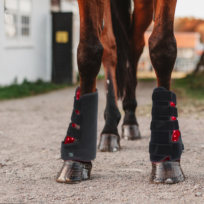 Infrared Light Horse Portable Phototherapy LED Tendon Boots