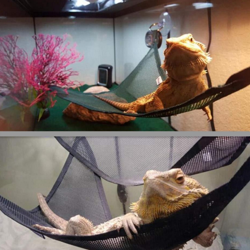 Title 5, 367A 2Pcs Reptiles Mesh Hammocks Habitat Orname...