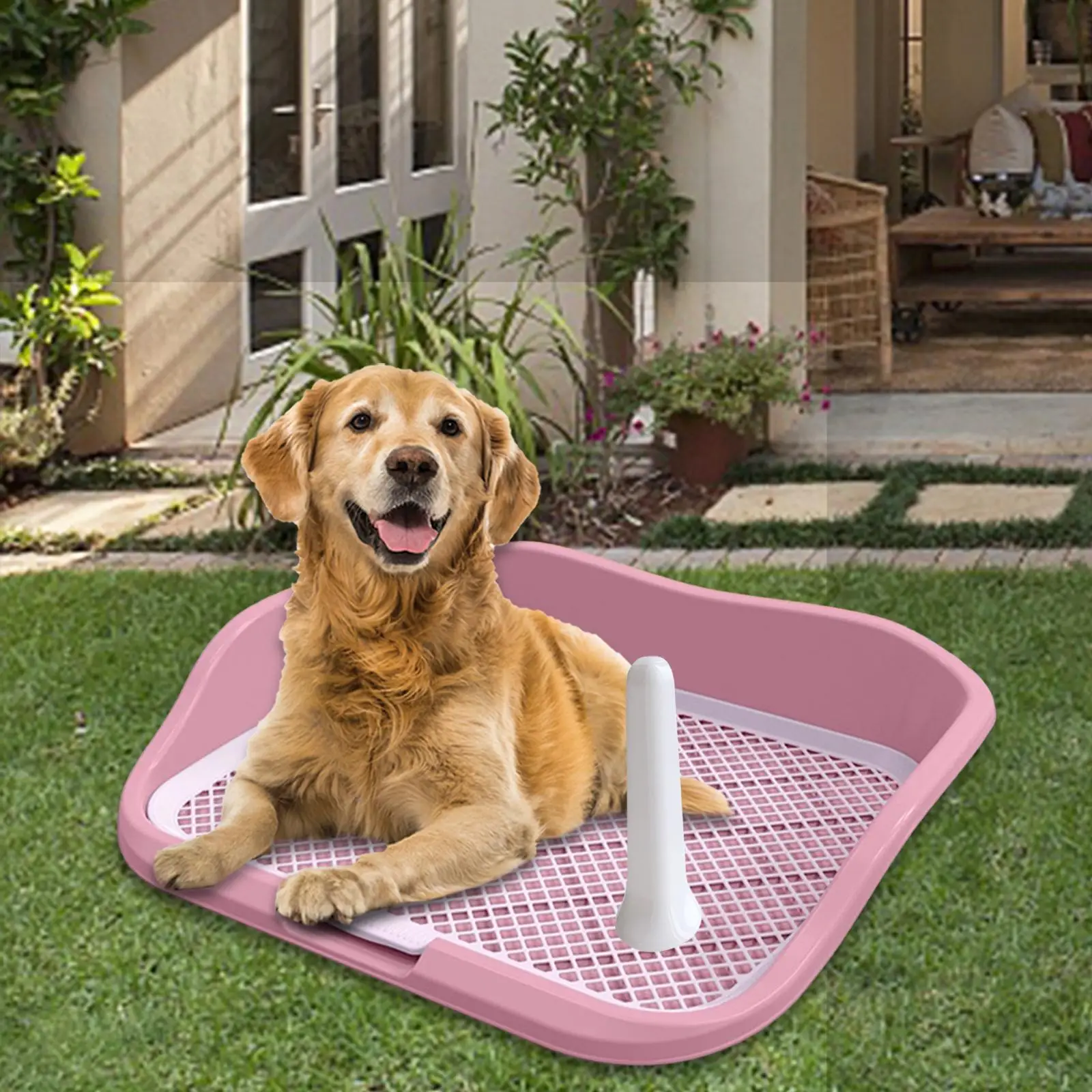 Durable Mesh Dog Toilet Litter Box Keep Floors Clean with Fence with Protection Wall for Pee Training Ferret Indoor Medium Dogs