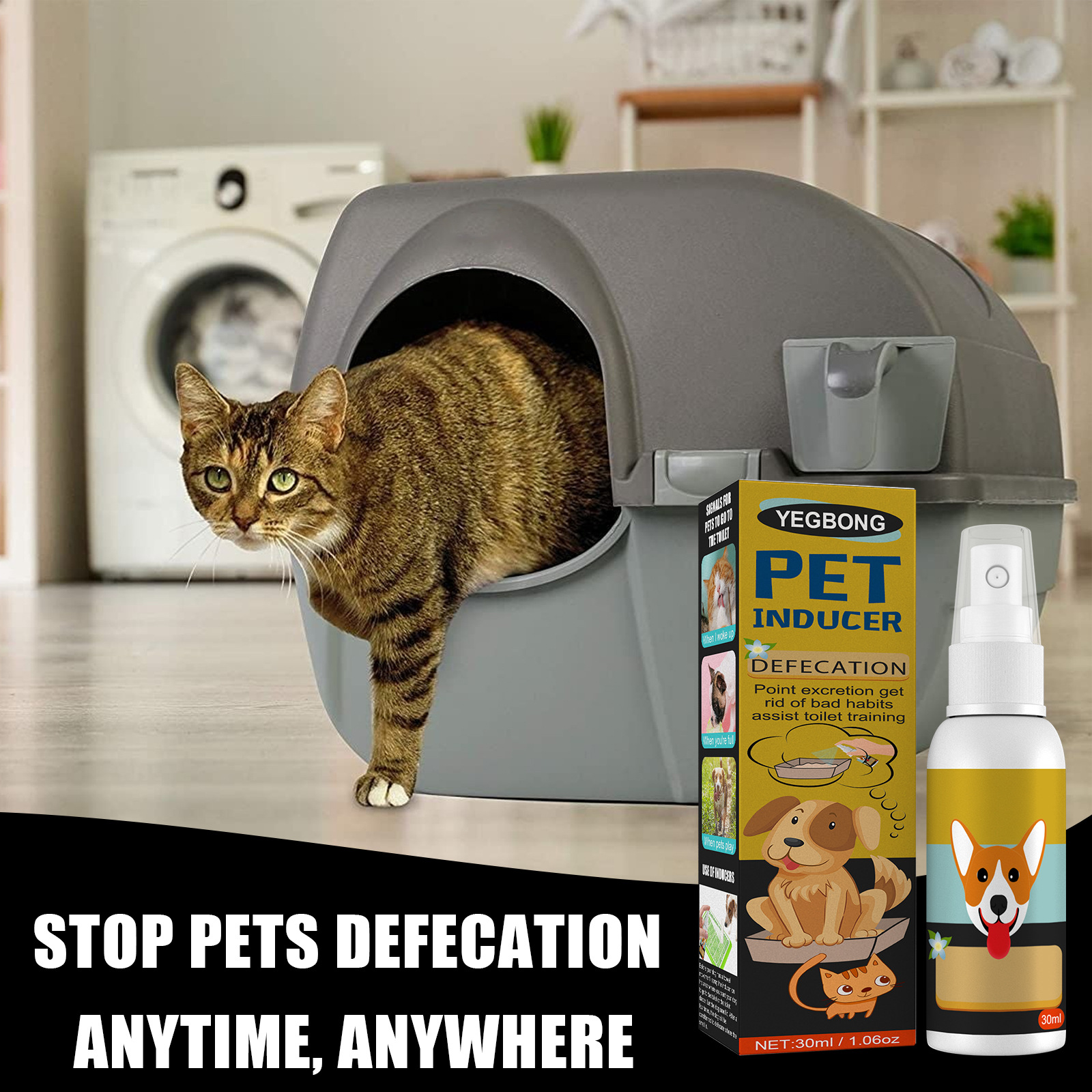cat leaving litterbox