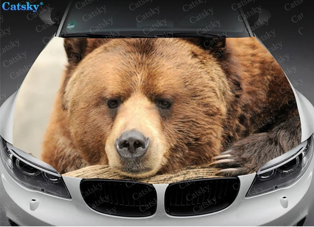 Angry Bear Kotflügel Top Side Trunk Auto Aufkleber, Bär Aufkleber. Bär Auto  Aufkleber - .de