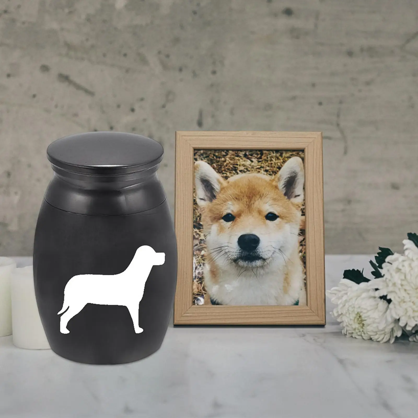 Pet Urn Ash Urns for Dogs Remembrance Supplies Stainless Steel Container