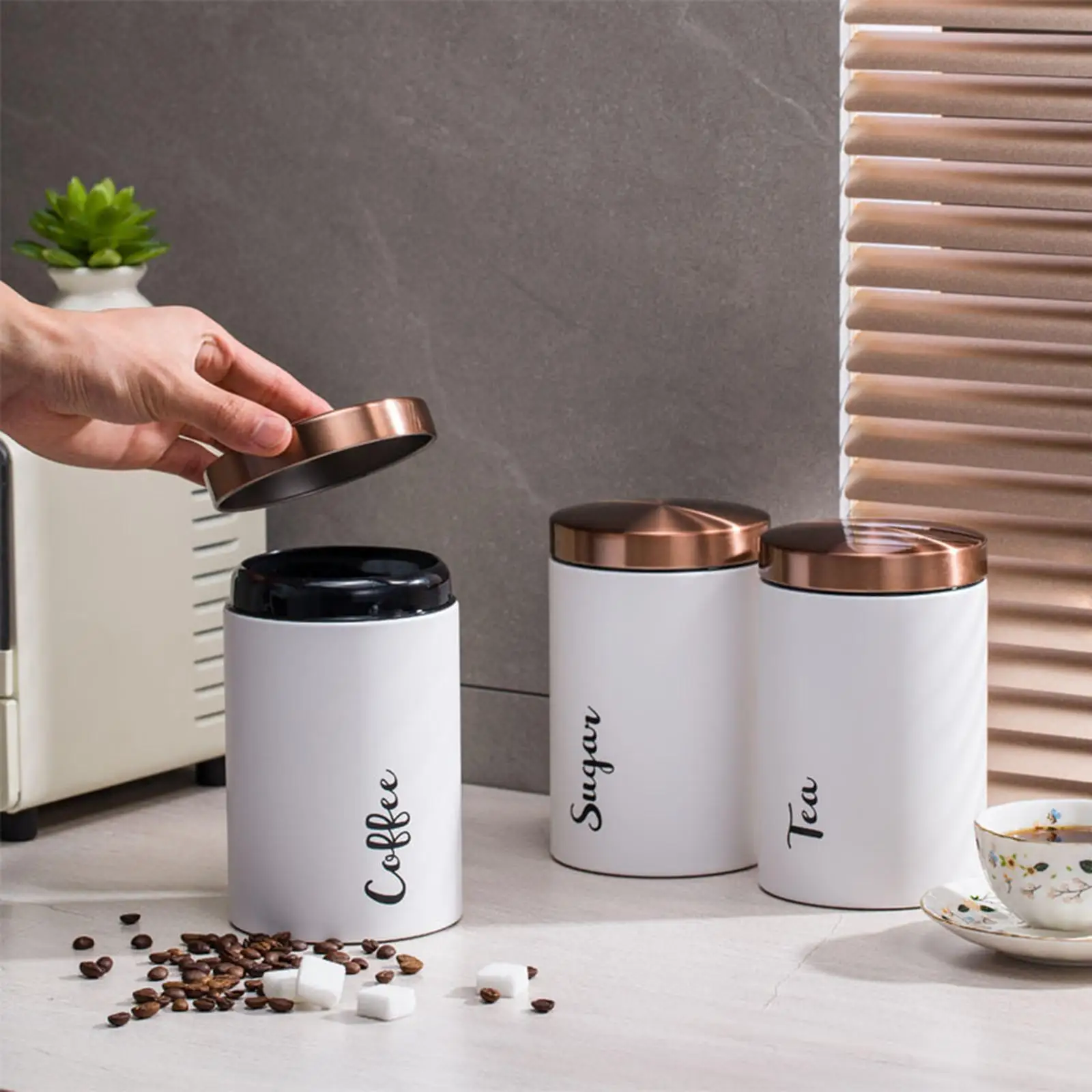3x Stainless Steel Storage Jars Ornament Dustproof Containers Organizer for Living Room Desk Cabinet Pantry Closet