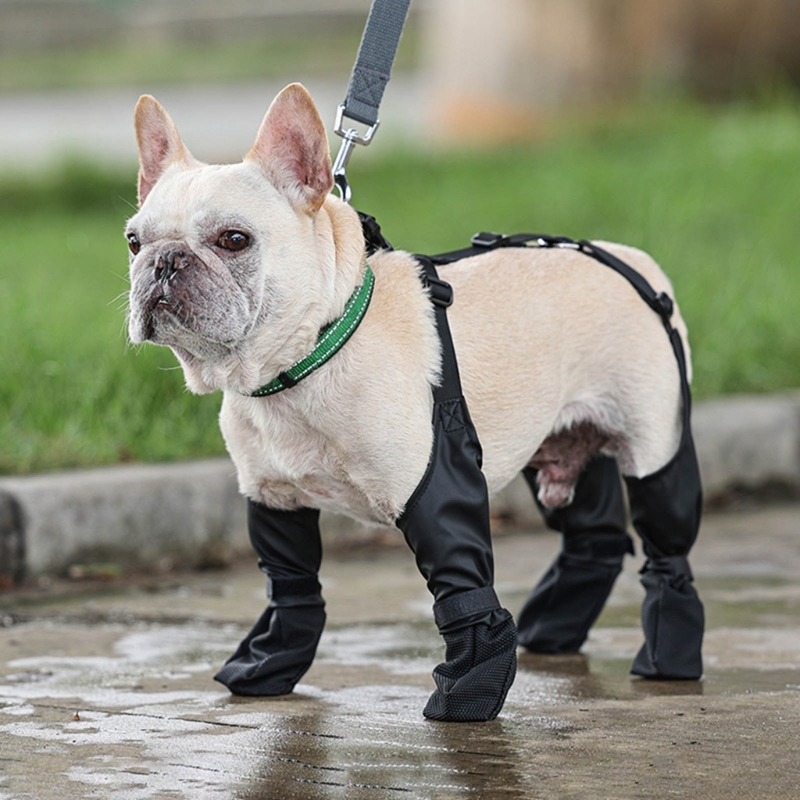 Title 4, Bottines de neige antidérapantes pour animaux d...