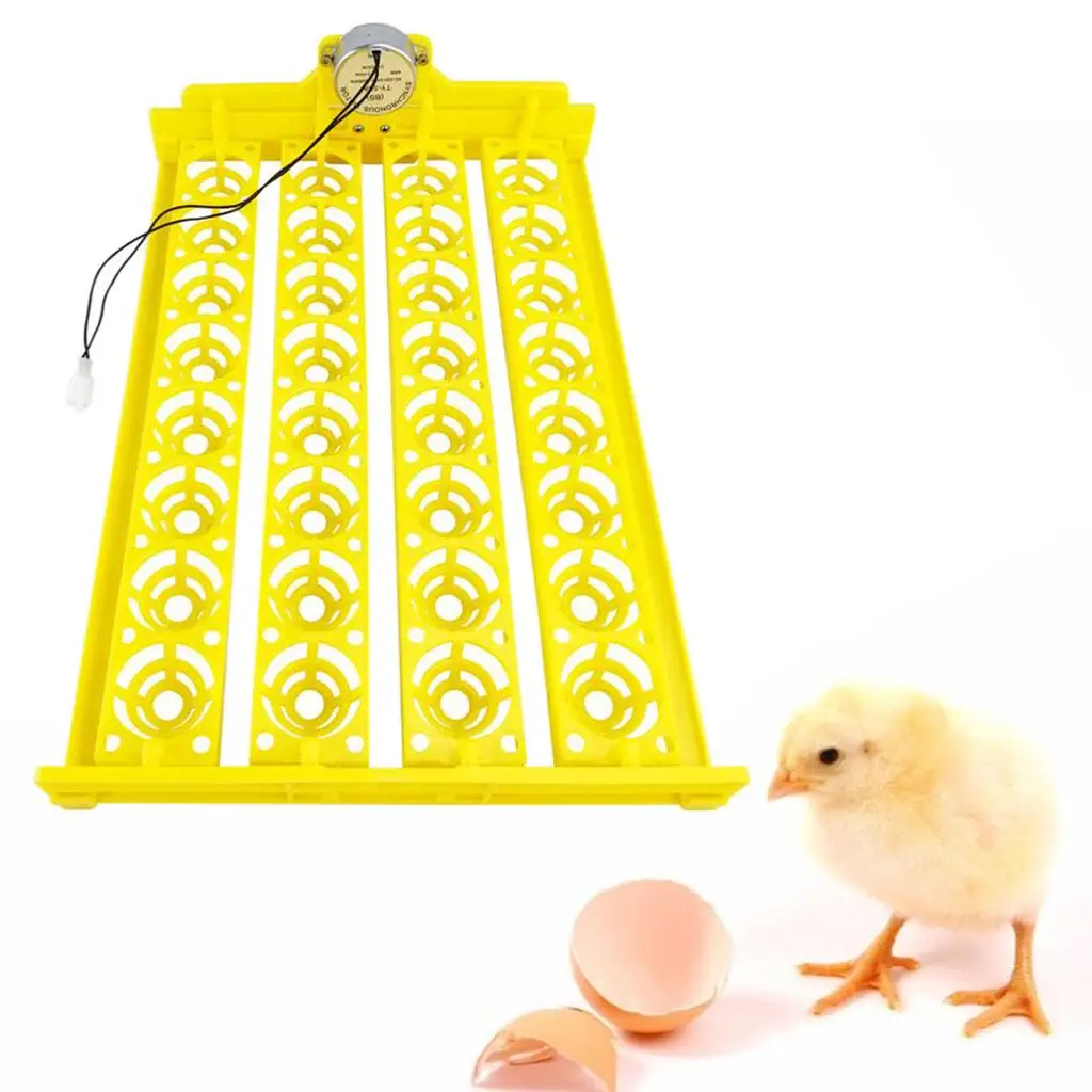 Egg Incubator Tray, Automatic Hatcher Tray, Holds 32 Eggs for Bird Duck Chick