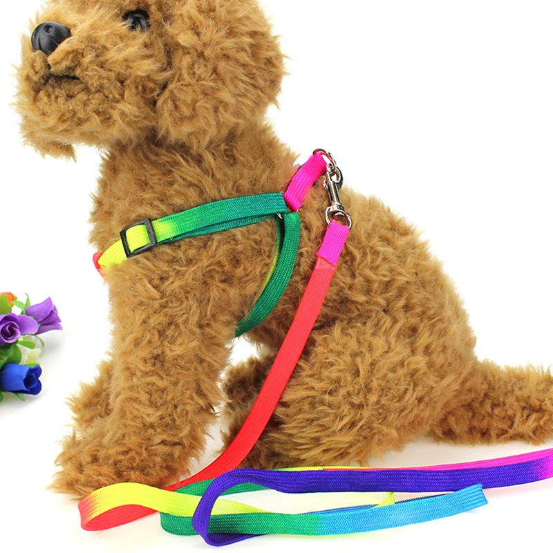 Un peluche que se asemeja a un perro, concretamente a un golden retriever o raza similar, con una textura de pelaje esponjoso. El juguete lleva un arnés con una correa, que está diseñado para parecerse a un arco iris con múltiples colores.