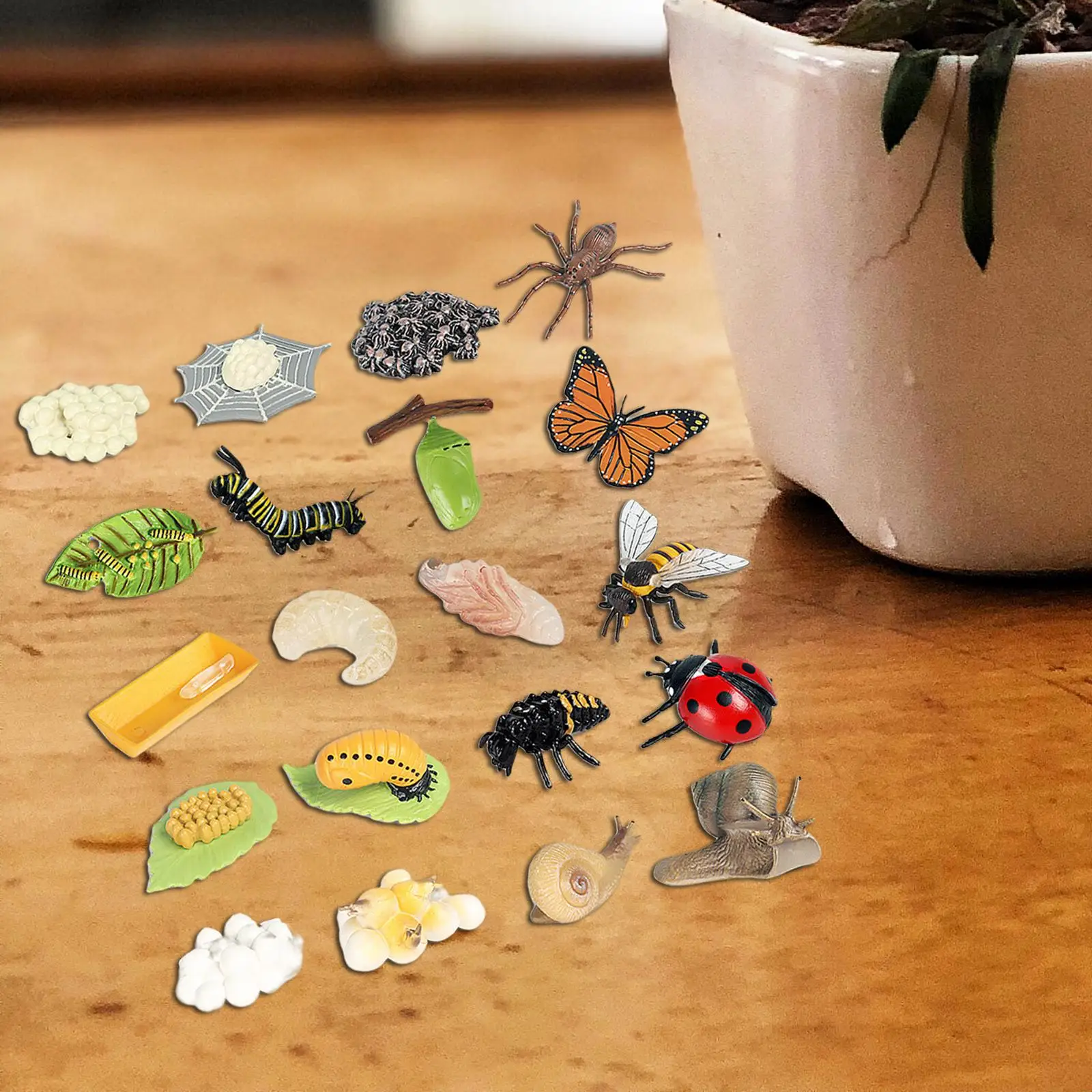 Insect Growth Cycle Set Model Kit Party Favors Science Cognition Teaching Tools Lifelike for Students Kids Preschool Toddlers