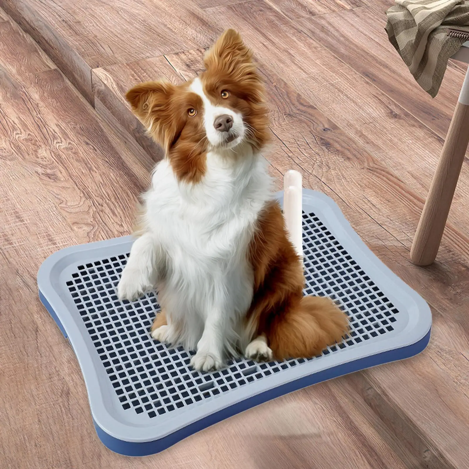 Dog Toilet Puppy Pee Pad Durable Keep Clean Removable Bedpan Non Slip Dog Potty