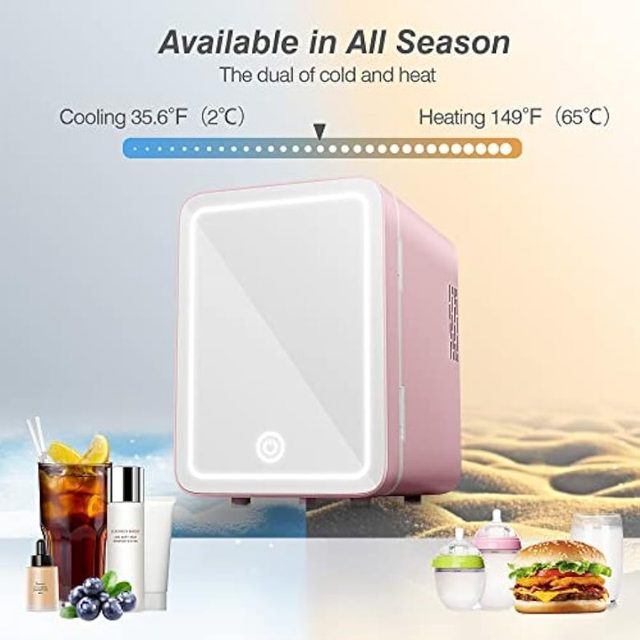 4L/10L LED Mirrored Beauty Fridge Removable Partition Board Dual Use Quiet  Mini Refrigerator for Cosmetics Food Drinks 100‑240V - AliExpress