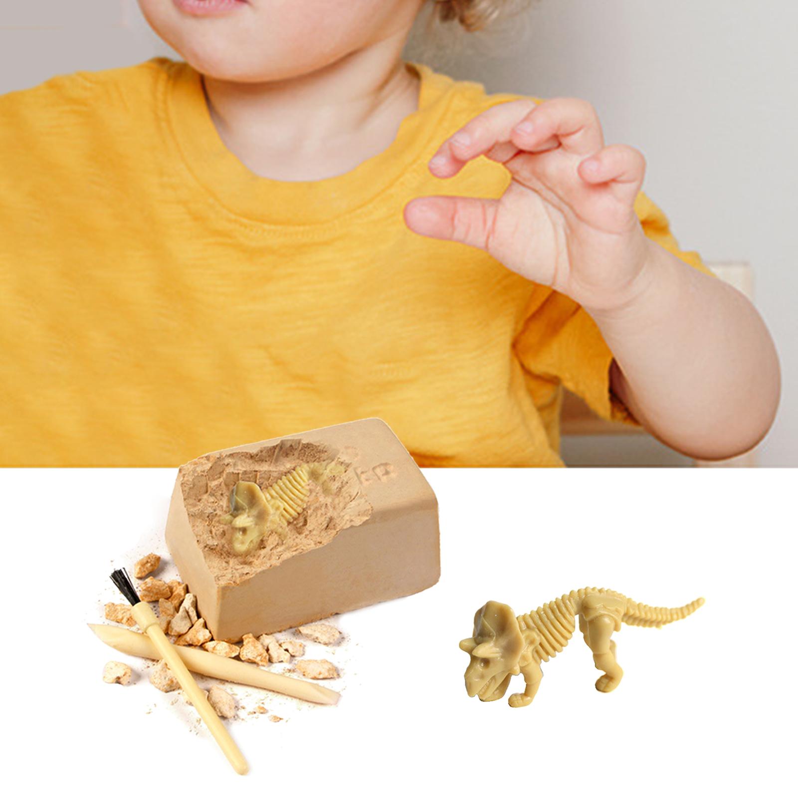 Funny Excavation Toys, Preschool Learning Toy Mining Toy Nature Science Archeology Kit Nature Activities