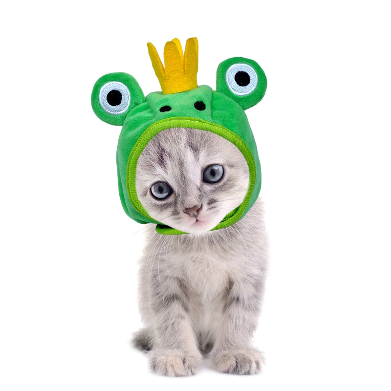 Frog Ear Warmer Hat for Pets Image 12