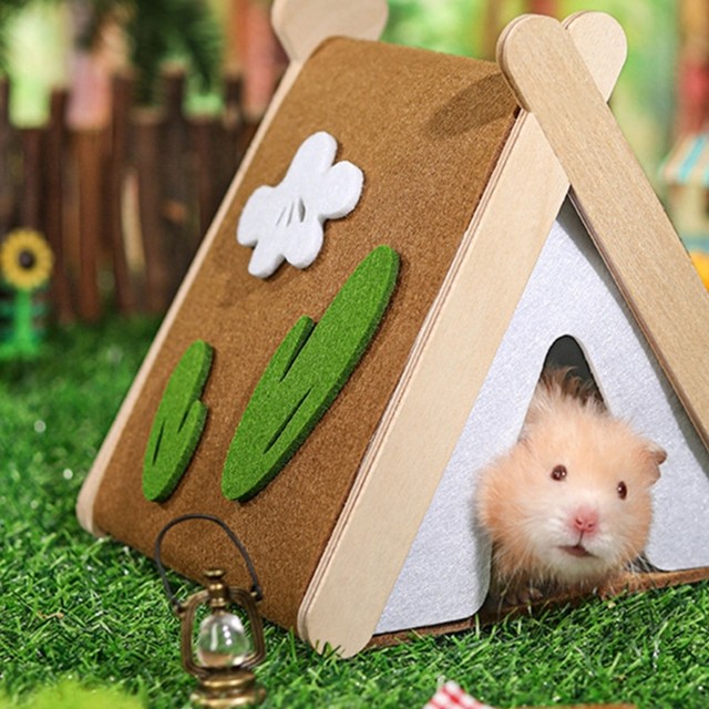 Diy cardboard hamster outlet house