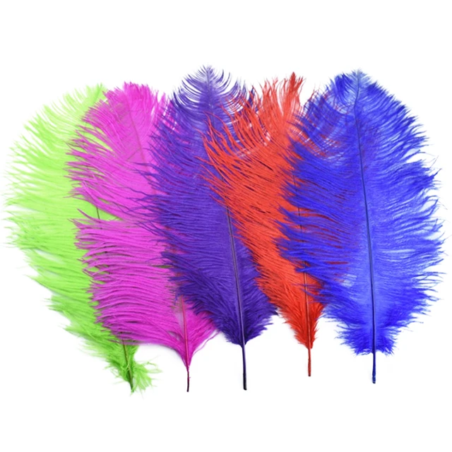 Small & Large White Craft Feathers for Sale