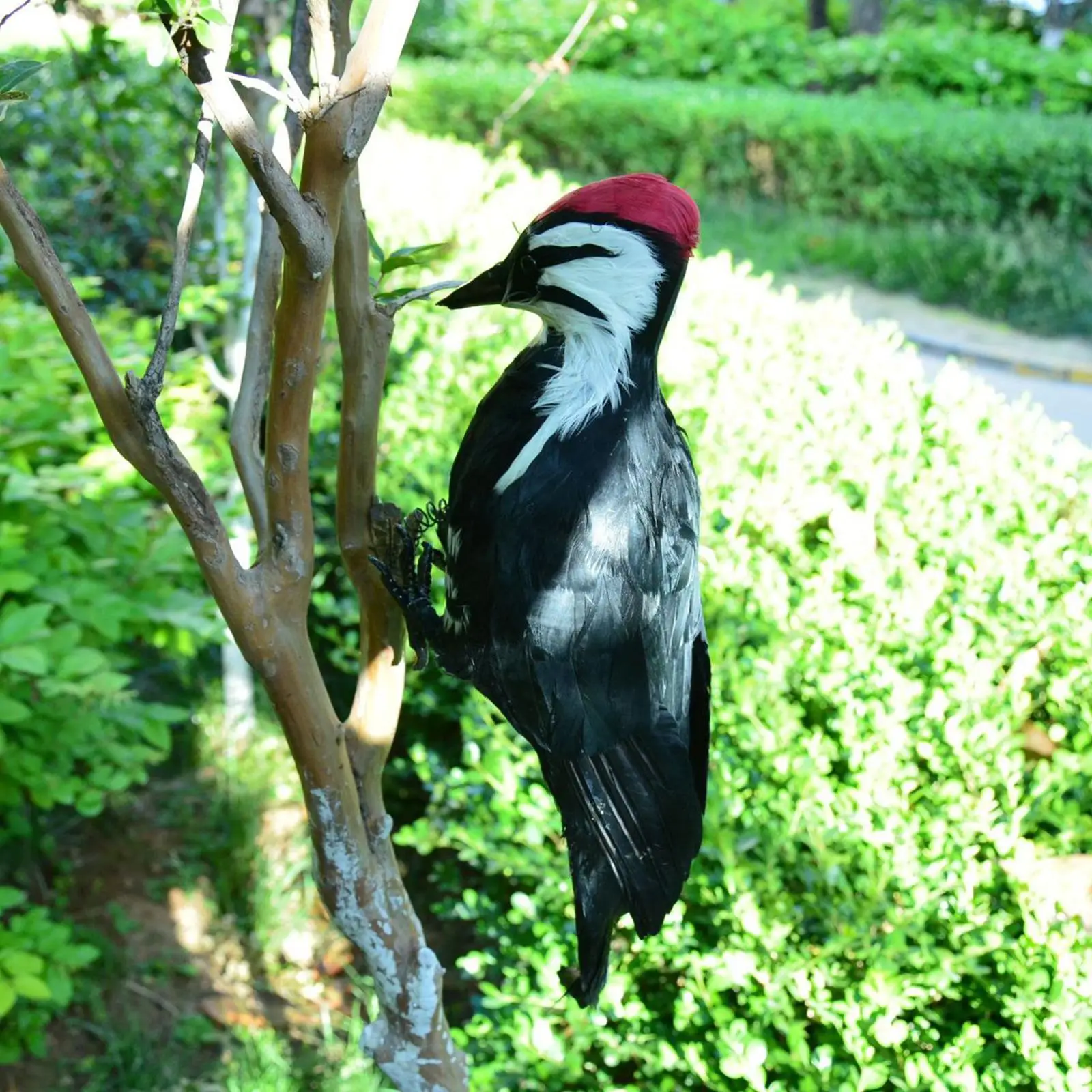 Simulatie Woodpecker Toys Bird Spring Feather Artificial Gift Art Sculpture Standbeeld Model voor tuinwerf Home Decor ornament
