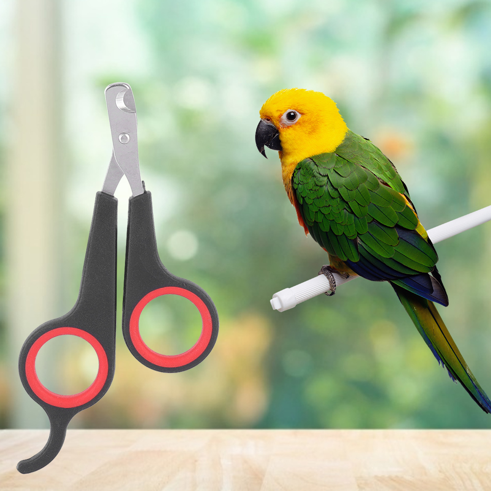 Title 3, Pet Bird Parrot Small Animals Accessory Groomin...