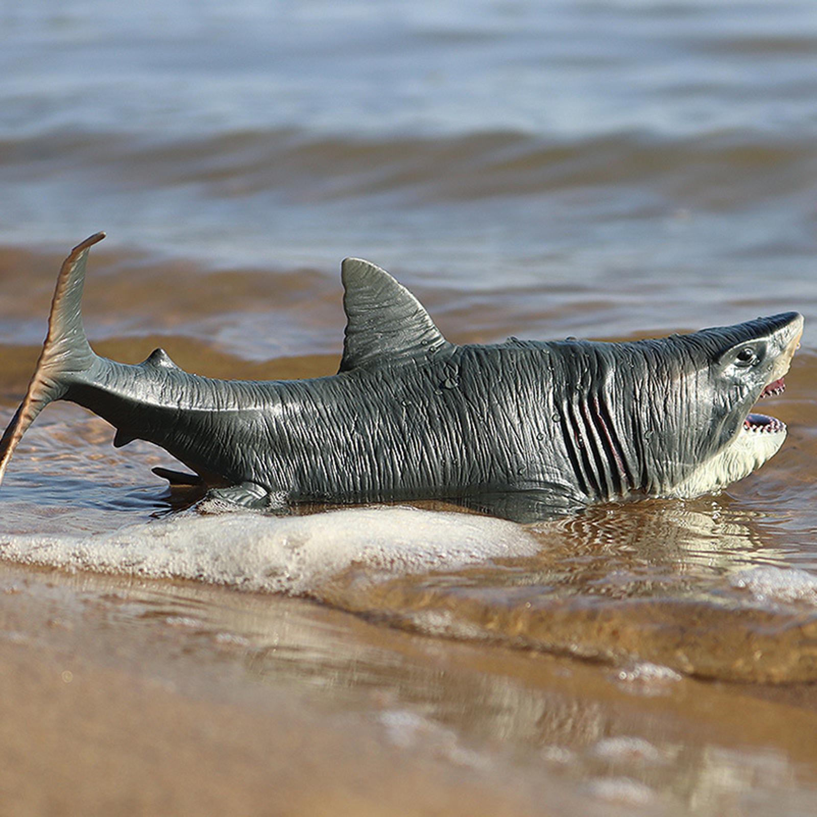 Фигурка акулы, модель существа Megalodon для раннего обучения