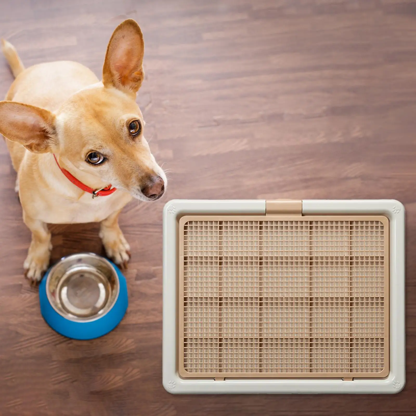Dog Training Toilet Detachable Keep Paws and Floors Clean Potty Tray