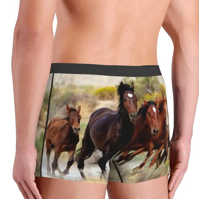 Men Brown Horse Herd Running Underwear Galloping Animal Lovers Humor Boxer  Briefs Shorts Panties Male Soft Underpants S-xxl - Boxers - AliExpress