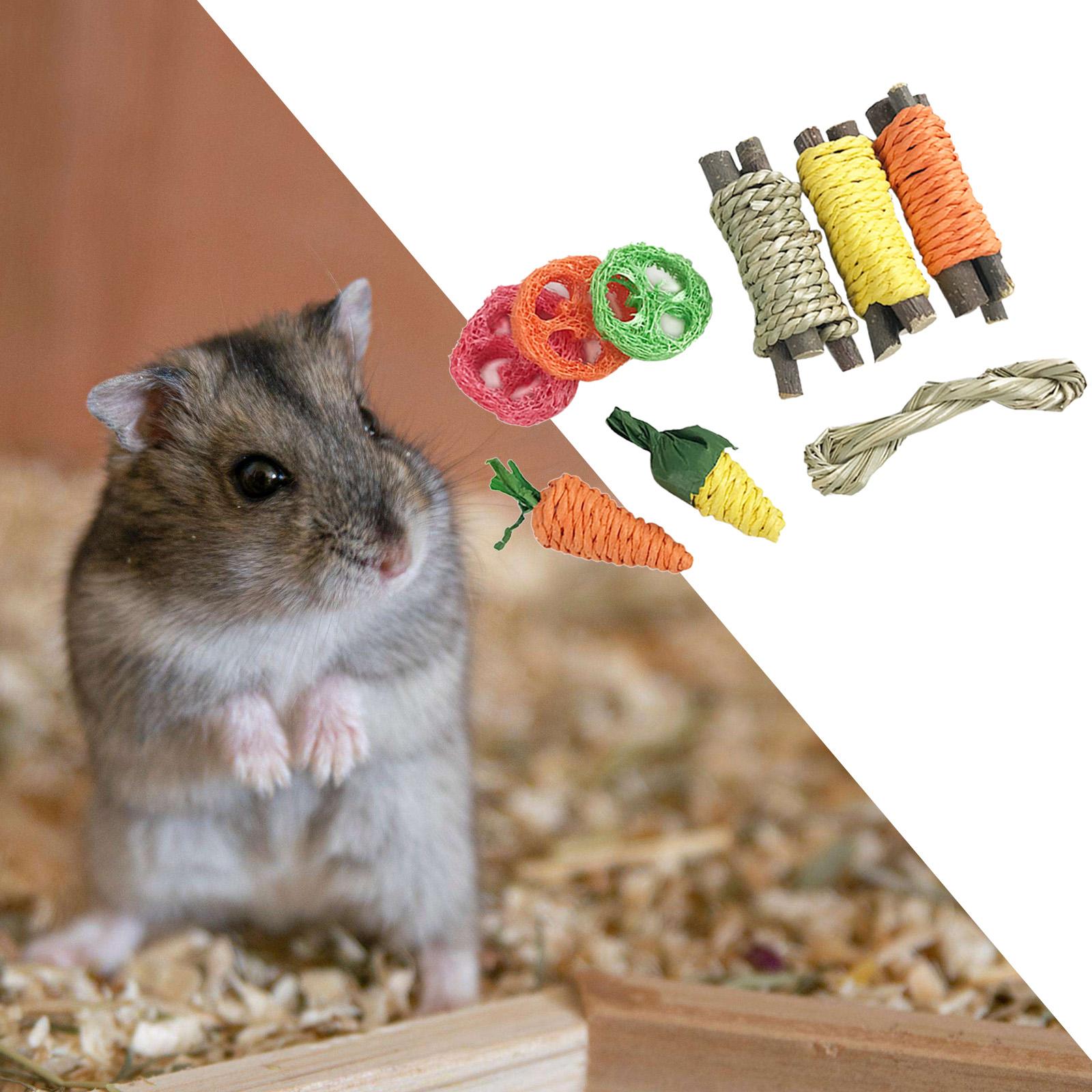 9Pcs Bunny Hamster Rabbit Chew Toys Teeth Care Radish Bite Grind Teeth Toy