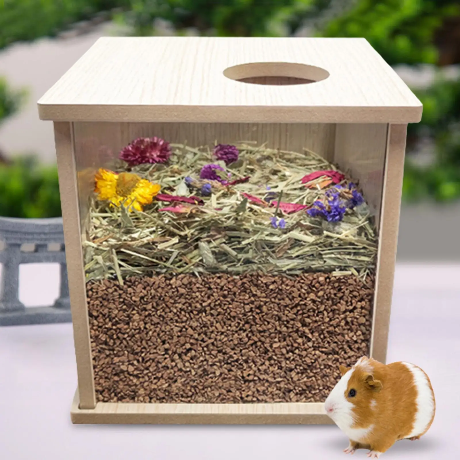 Hamster Wooden Cage Rats Bed Pets Rest Playing Dwarf Hamster Acrylic Habitat