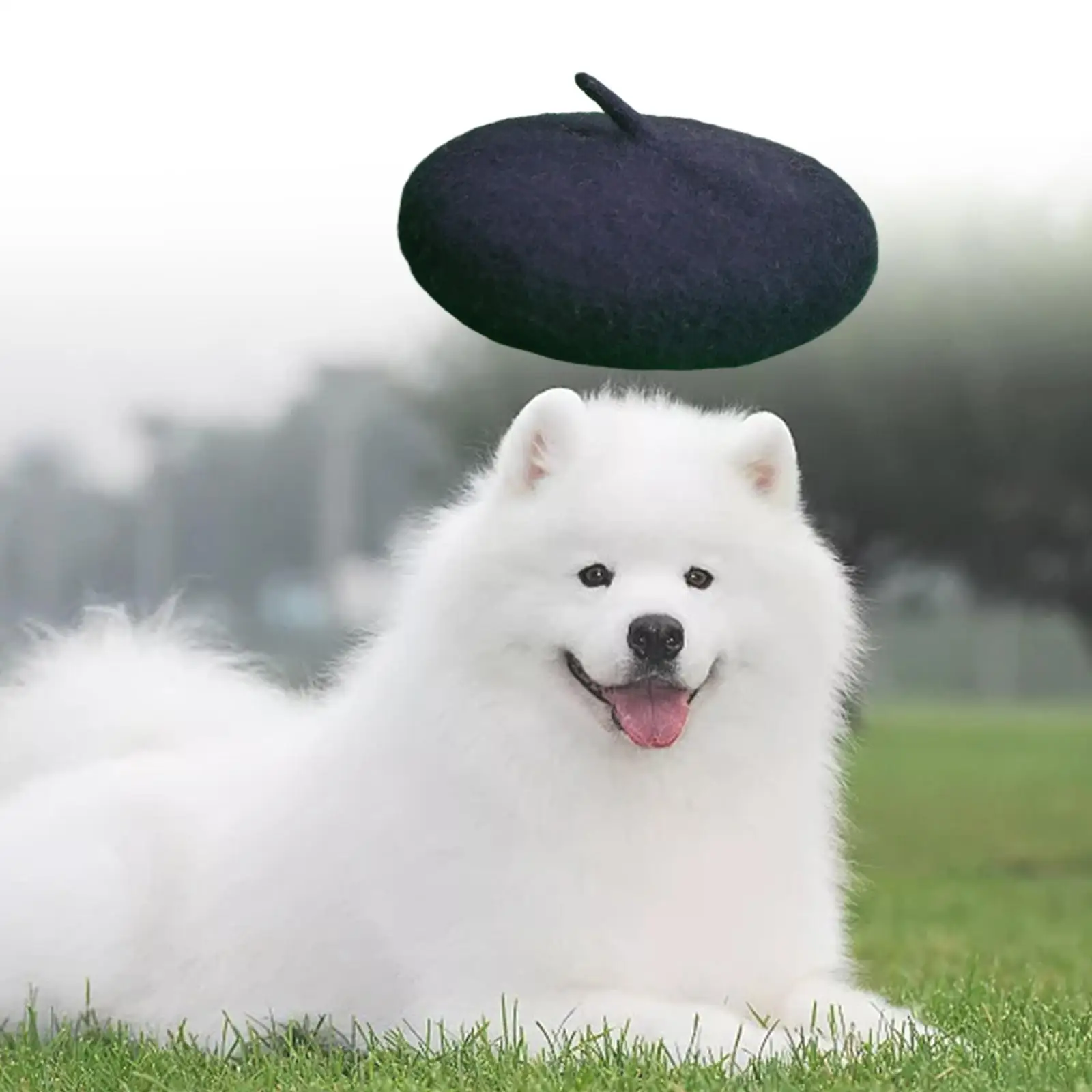 Dog Cat Hat Wool Beret Adjustable Elastic Rope Costume Birthdays Dog Decoration Hat