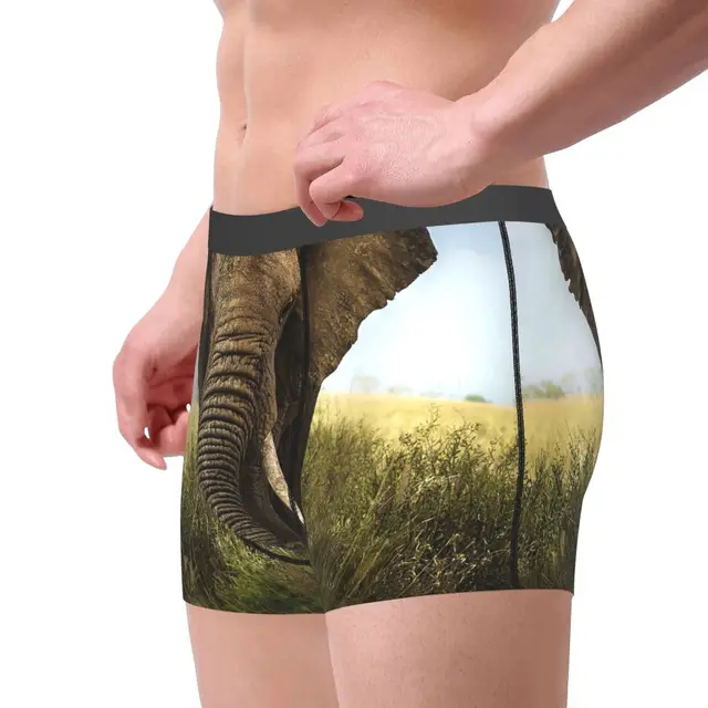 Calzoncillos de retrato de elefante para hombre, ropa interior