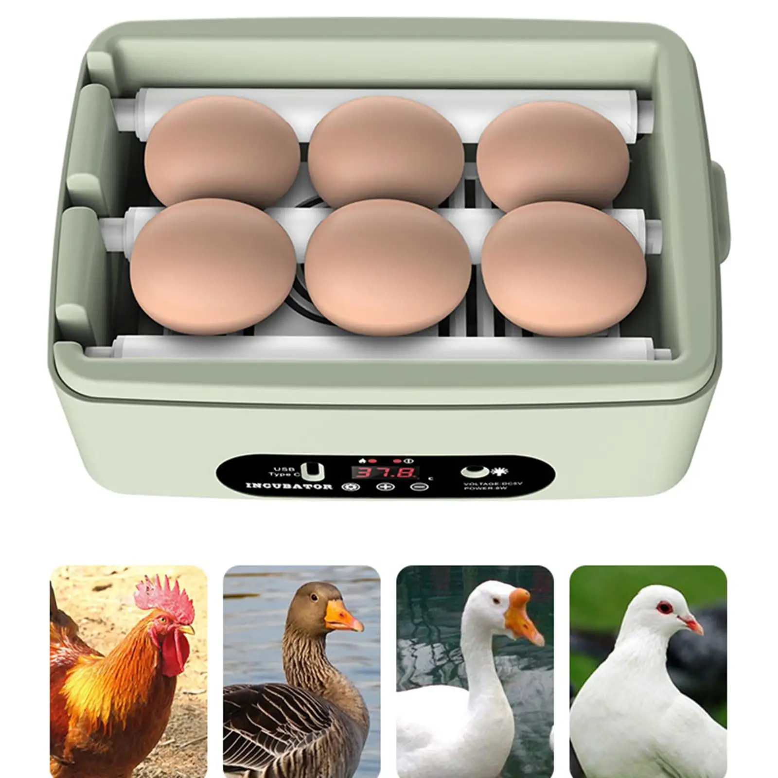Automatic Egg Incubator Egg Turner Tray Egg Hatcher Machine 6 Eggs for Birds