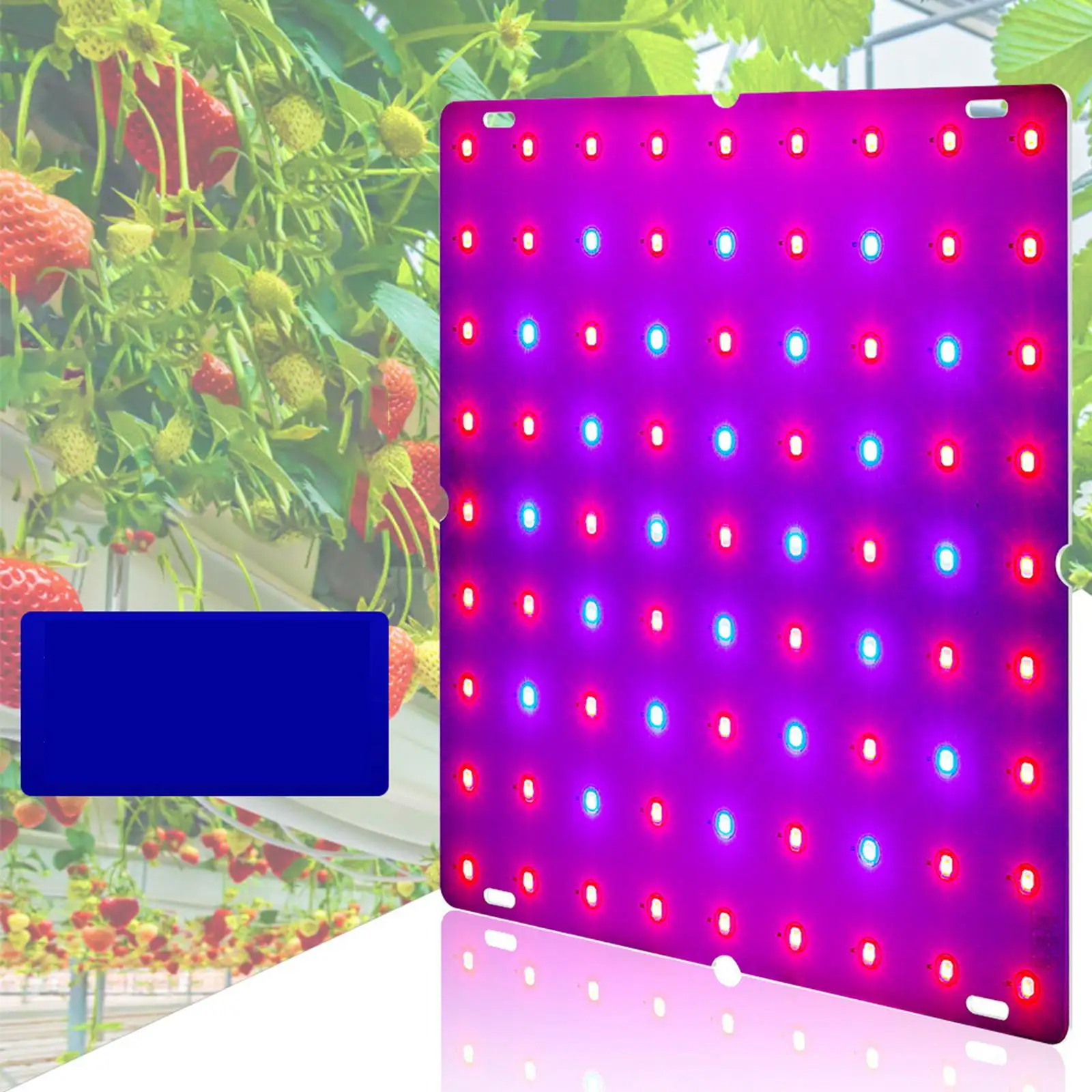 LED Grow Lights Full Grow Light for Bloom Hydroponics Vegetable Seed Starting Greenhouse
