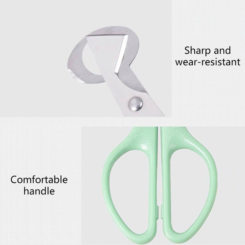 Description Picture 2 of item10pcs Quail Eggs Scissors, Stainless Steel Pigeon Quail Egg Cutter, Pigeon Bird Quail Egg Opener Kitchen Egg Shears Tool