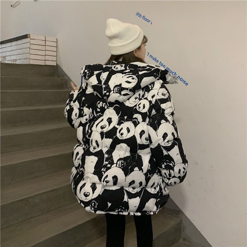 solto, roupas de inverno cheias, outono, coreano, olhando para o panda