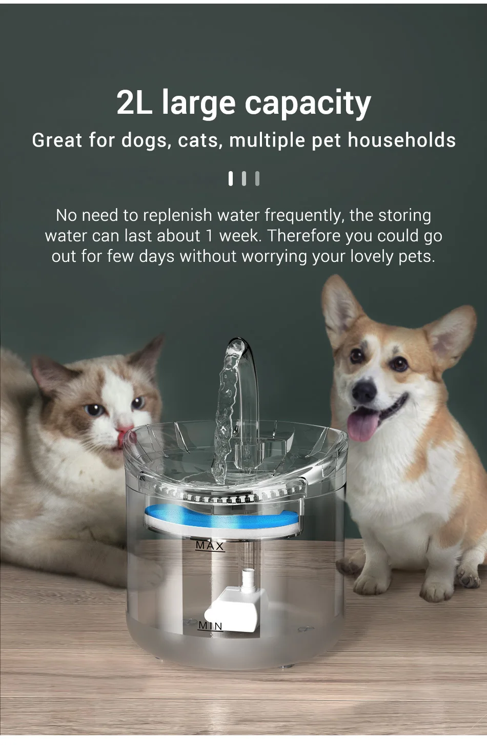 Pet Dispenser de água Pet Cat Auto Sensor Bebedor de Gatos