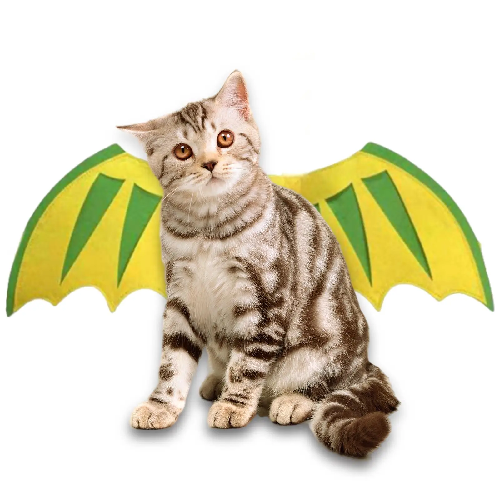Halloween Costumes Kitten Cat Wings Costume Pet Wings Dinosaur Wing Dragon Wings for Cats for Small Medium Large Cats Festival