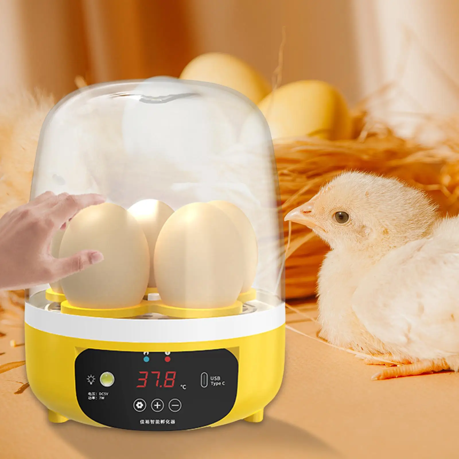 Digital Egg Incubator Holds 5 Eggs Temperature Control LED Light Poultry Hatcher Machine for Hatching  Parakeet Bird Eggs