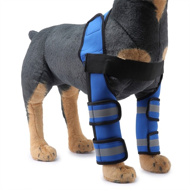 Large dog best sale leg brace