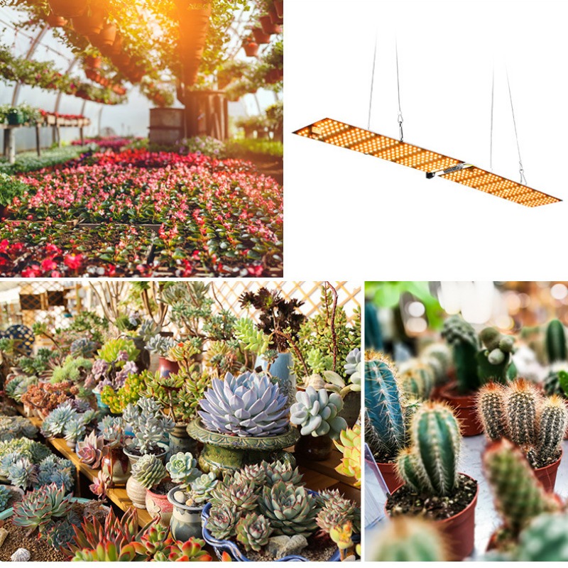 Description Picture 6 of item3500W Led Grow Light Phytolamp For Plants Bulb Full Spectrum Quantum Board Greenhouse Lamp Phyto Light Hydroponics Flower Seeds
