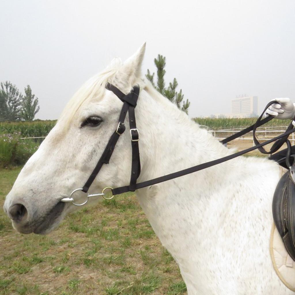 20mm Wedding Horse Bridle Horse Rein Headstall with Removable Snaffle Halter Nylon Bridle Rein Headstall for Horse Riding