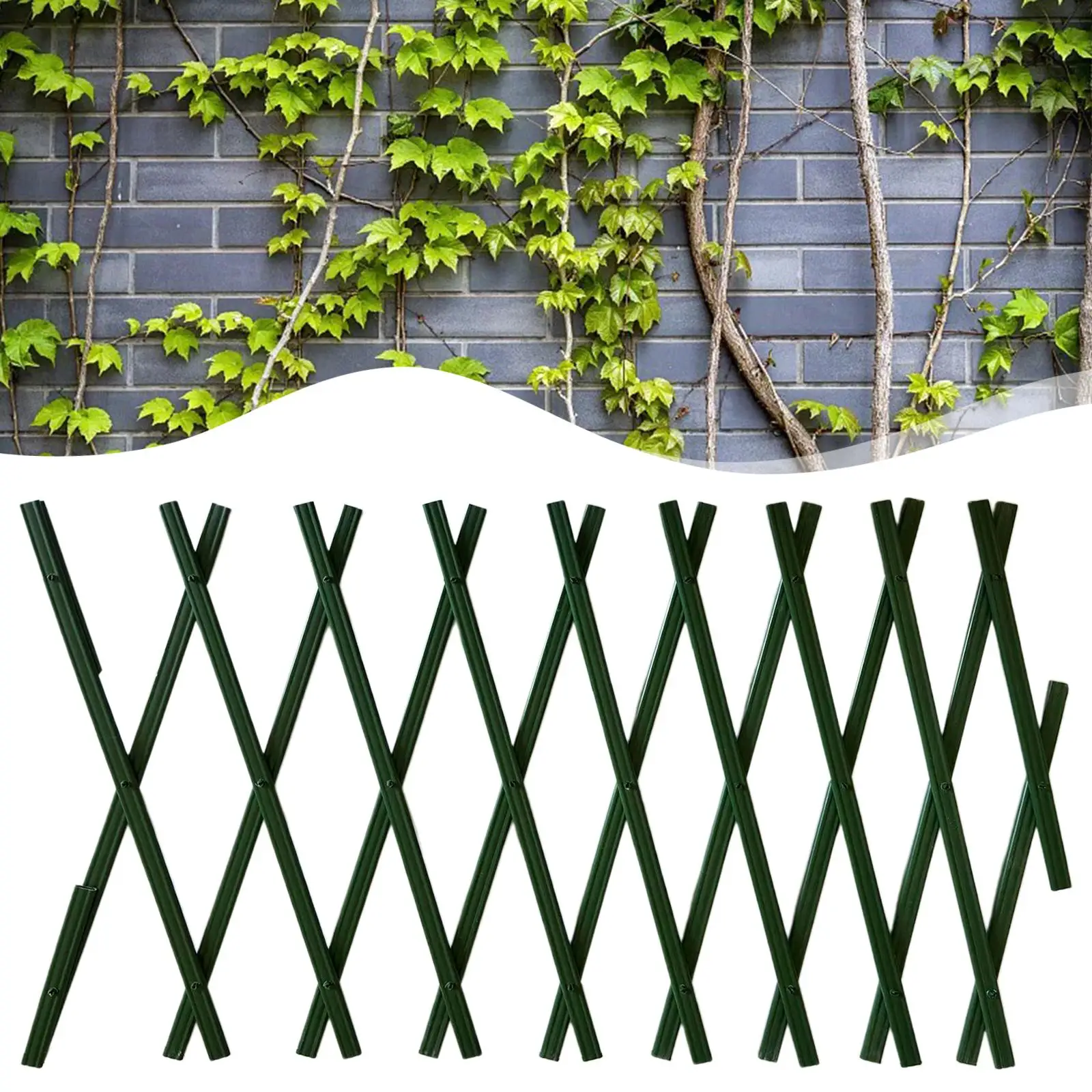 Garden Fence Climbing Plants  Wall Courtyard Decoration