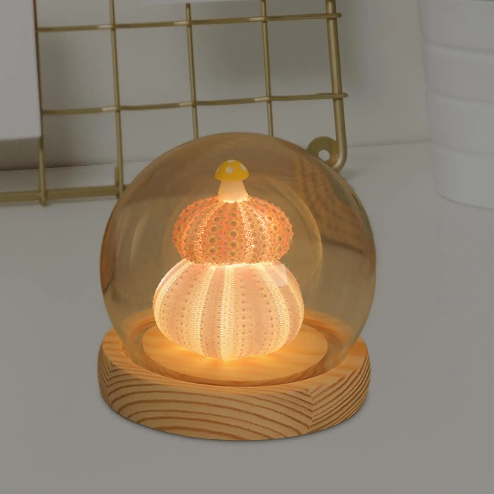 Decorative Table Lights Shell with LED Function Birthday Gift Mini Table Lamp