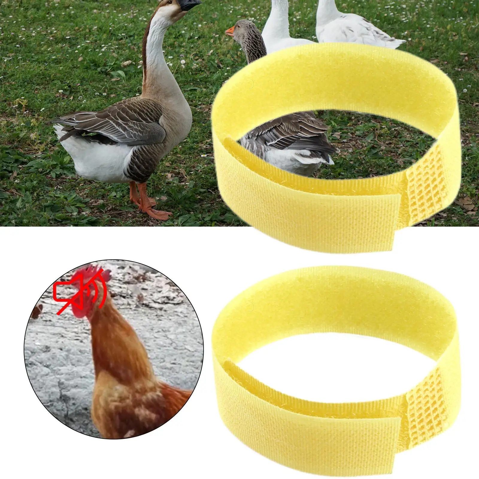 2Pcs  Rooster Anti Crow Collar Neck Belt Chicken Collar  Noise