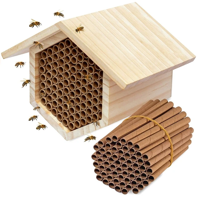 The best mason bee straws ever, and some alternatives - Honey Bee Suite
