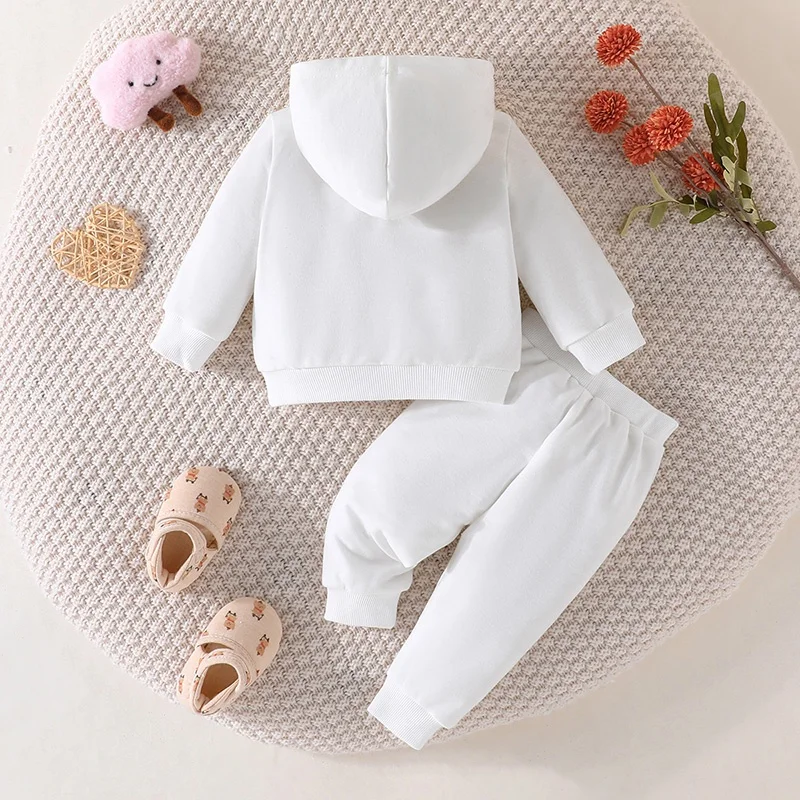 Long Sleeve Hoodie Tee Pants Toddler Infant Clothing Set