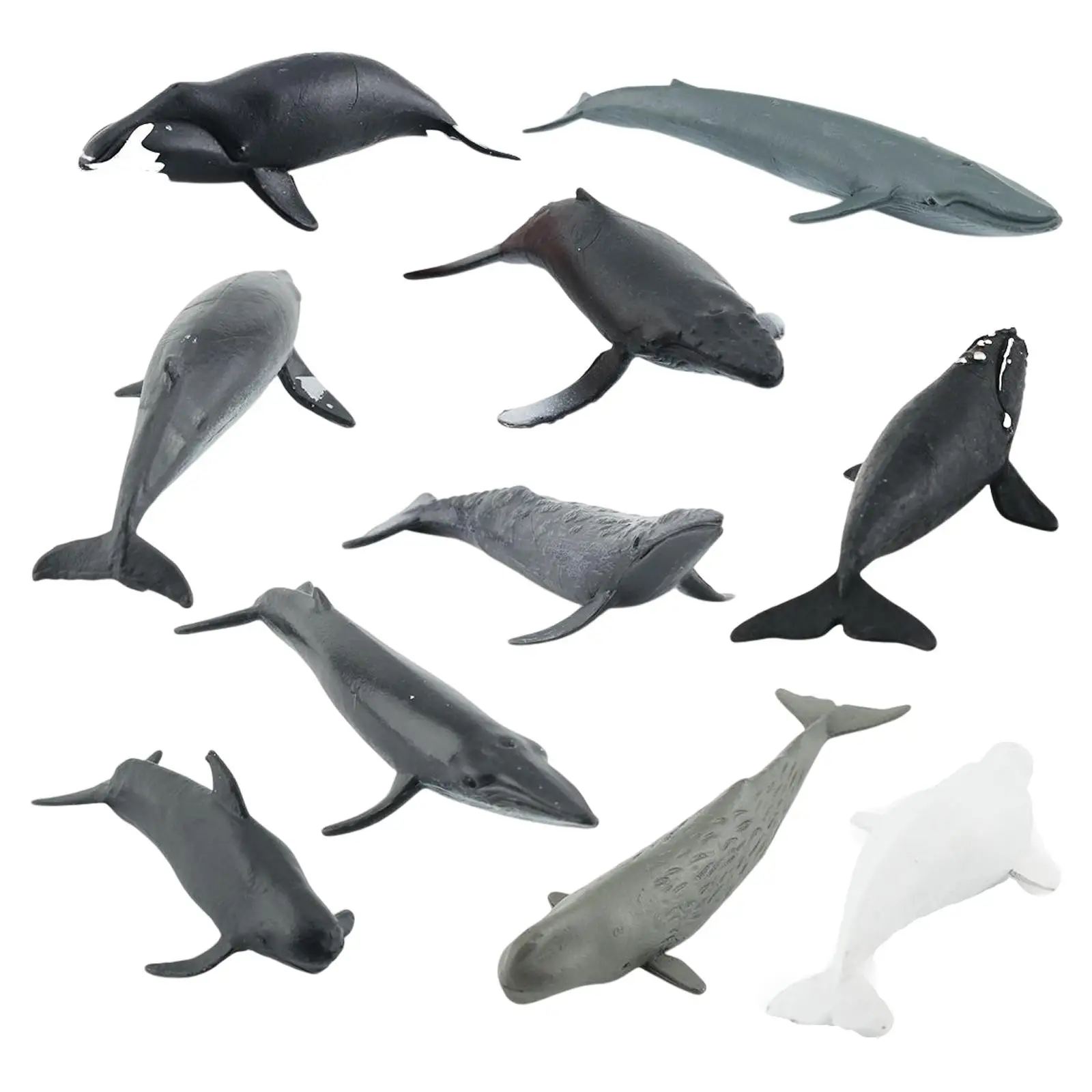 10 Pieces Simulation Lifelike Shark Miniature for Party Favors Classroom Prop Kids Toy