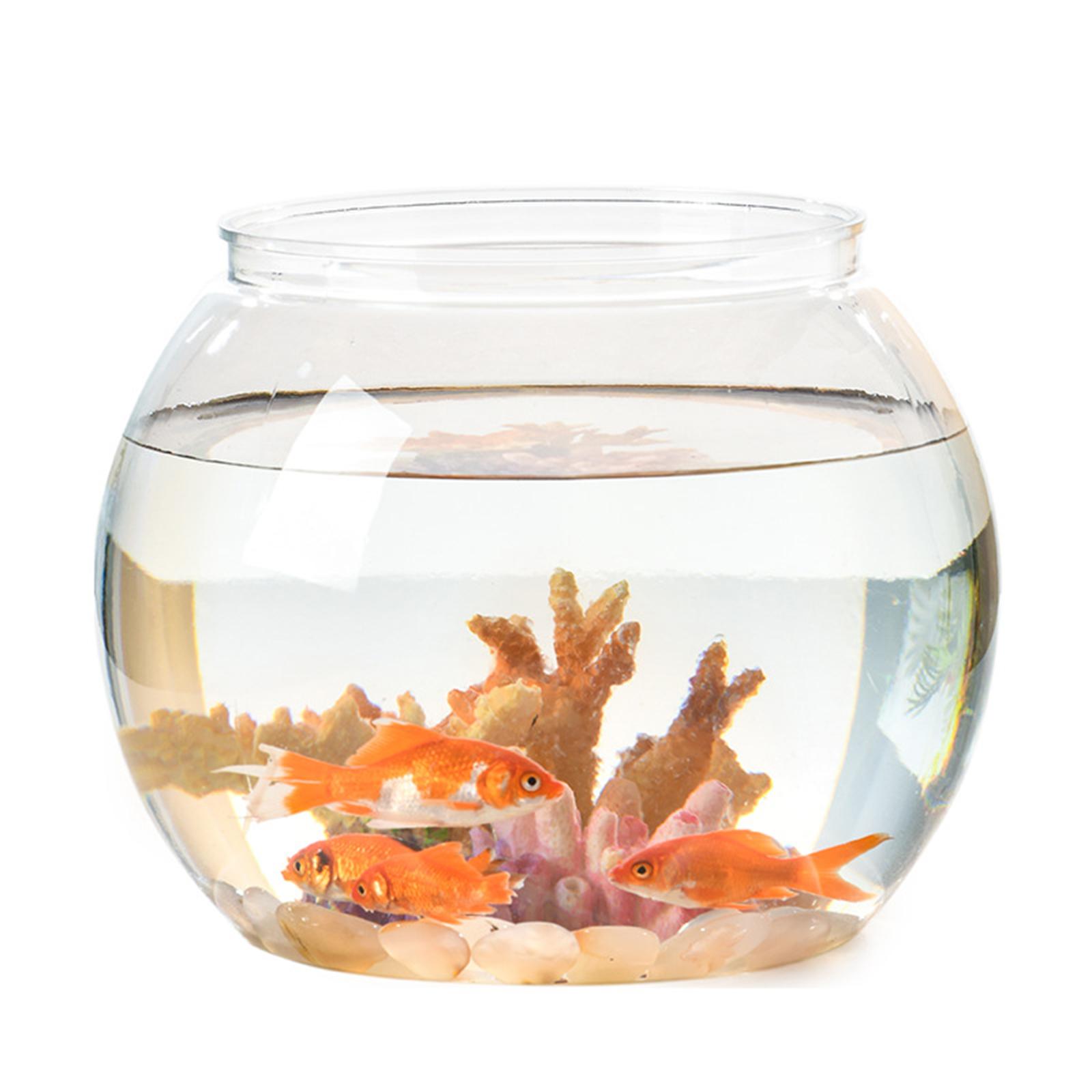 Clear Fishes Tank Aquatic Aquarium Decorative   Fish Bowl for Betta