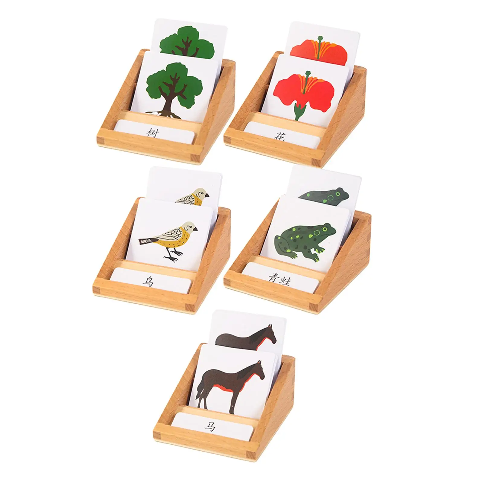 PVC Animal Growth Life Cycle Playset Early Educational Classroom Toys Cognitive for 4-8 Years Olds Toddlers Children Kids