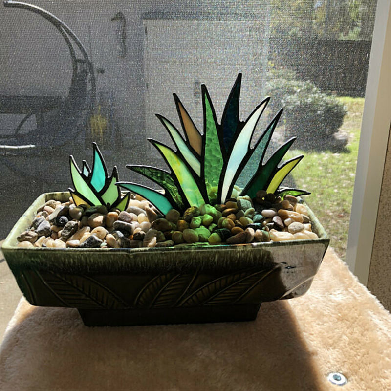 (Last Day Flash Sale-50% Off) Stained Agave Plante