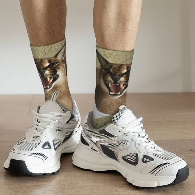 Floppa Frida & Marx : Caracal #shorts 