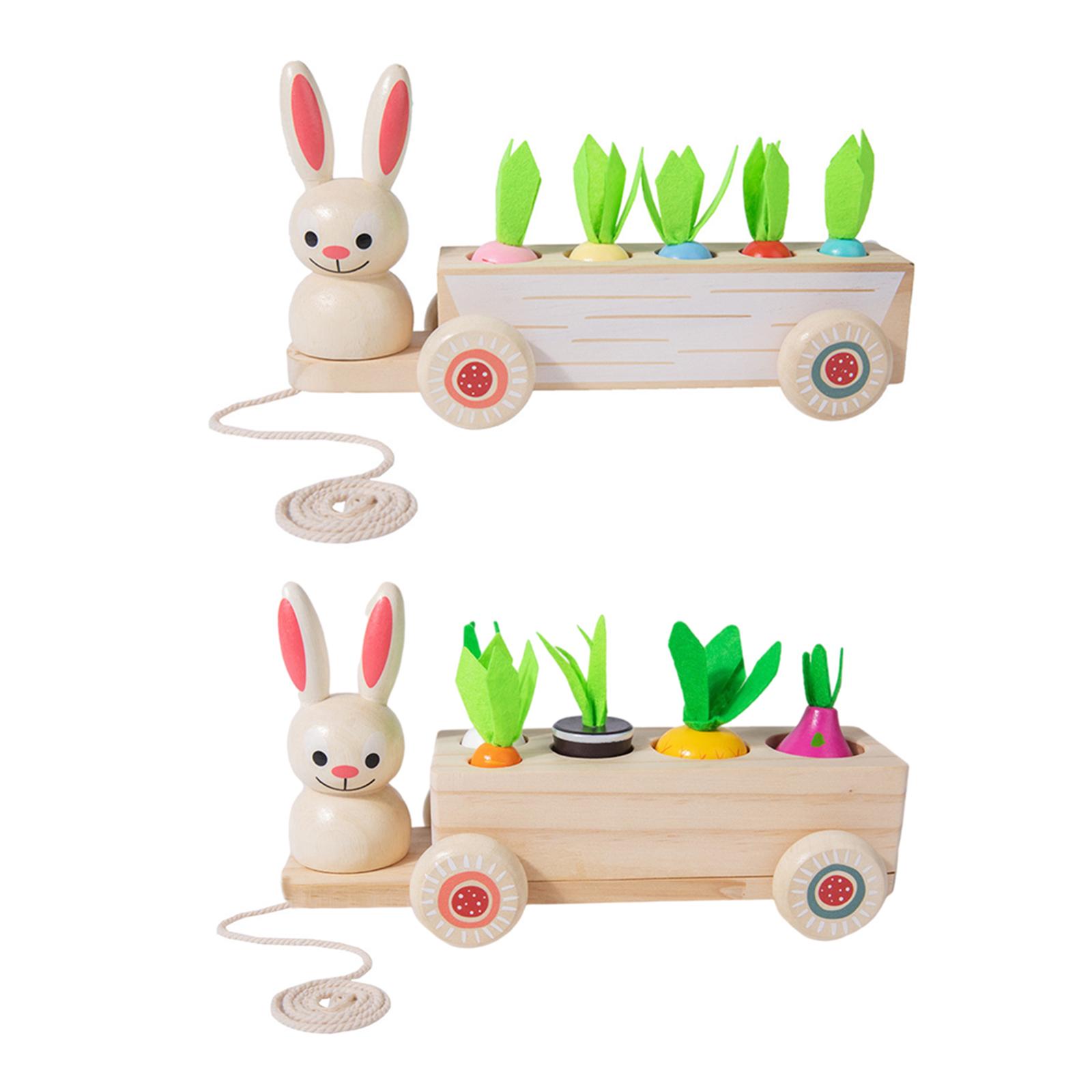 Baby Montessori Toys Wooden Block Happy Farm Pulling Carrot Shape Matching Size Cognition Montessori Educational Toy Gift Kids