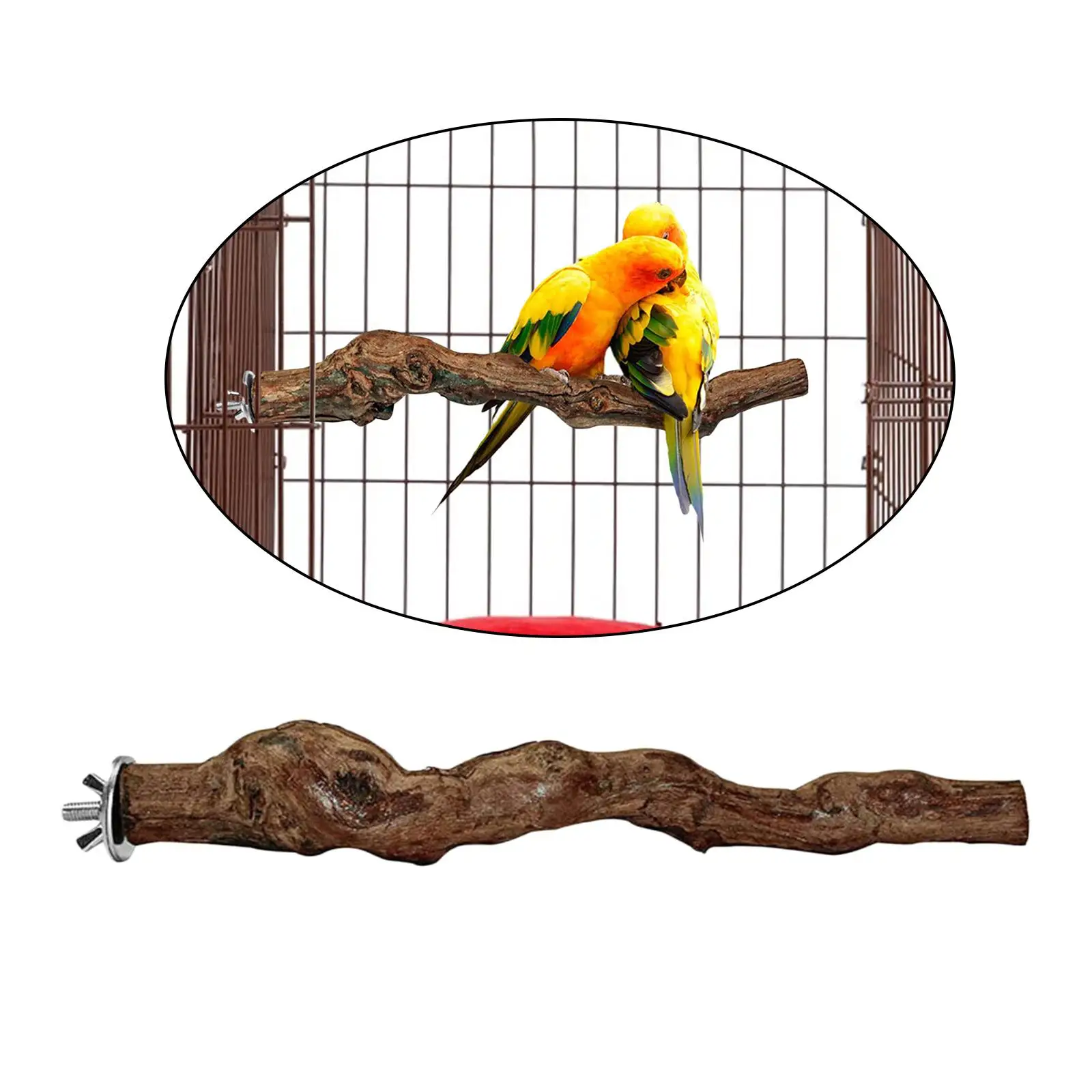 Wooden Parrot Bird Stand  Toys Rest Holder Perches for Small Parakeets Cockatiels Climbing Grinding Standing