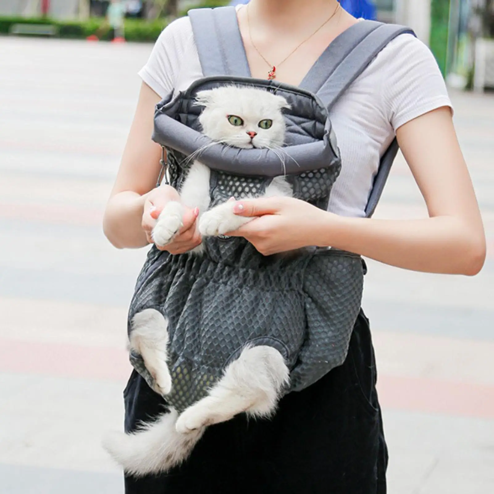 Pet Backpack Portable Adjustable Leg Out Front Back Travel Bag