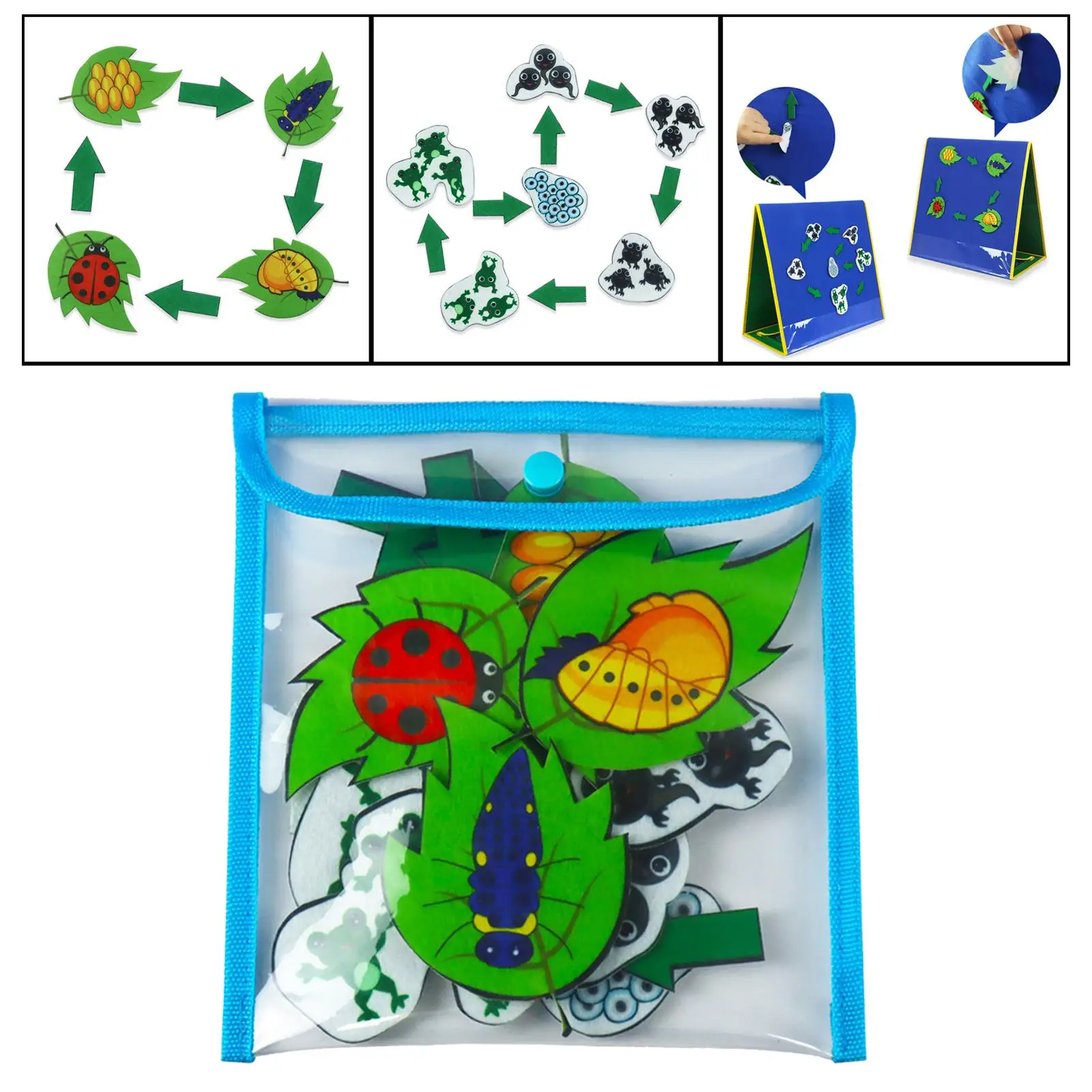 Felt Flannel Board Science Learning Interactive Toys for Classroom